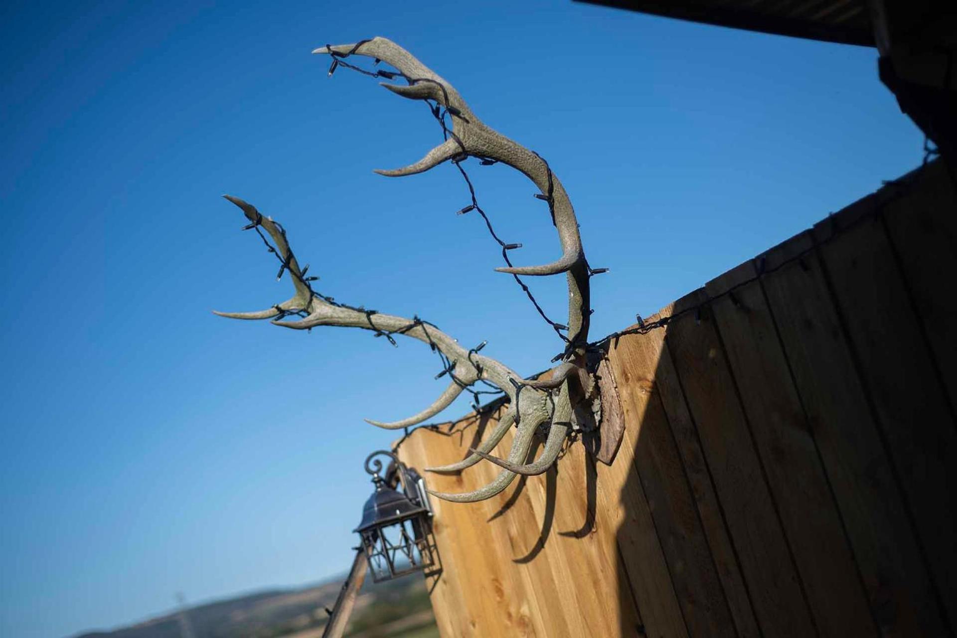 Burtree Country House, Tipi'S, Treehouse & Lodge & House Rooms With Hot Tubs In A Private Garden Thirsk Exteriér fotografie